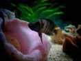 /album/foto%c4%9fraf-galerisi/img-20161028-173652-jpg/